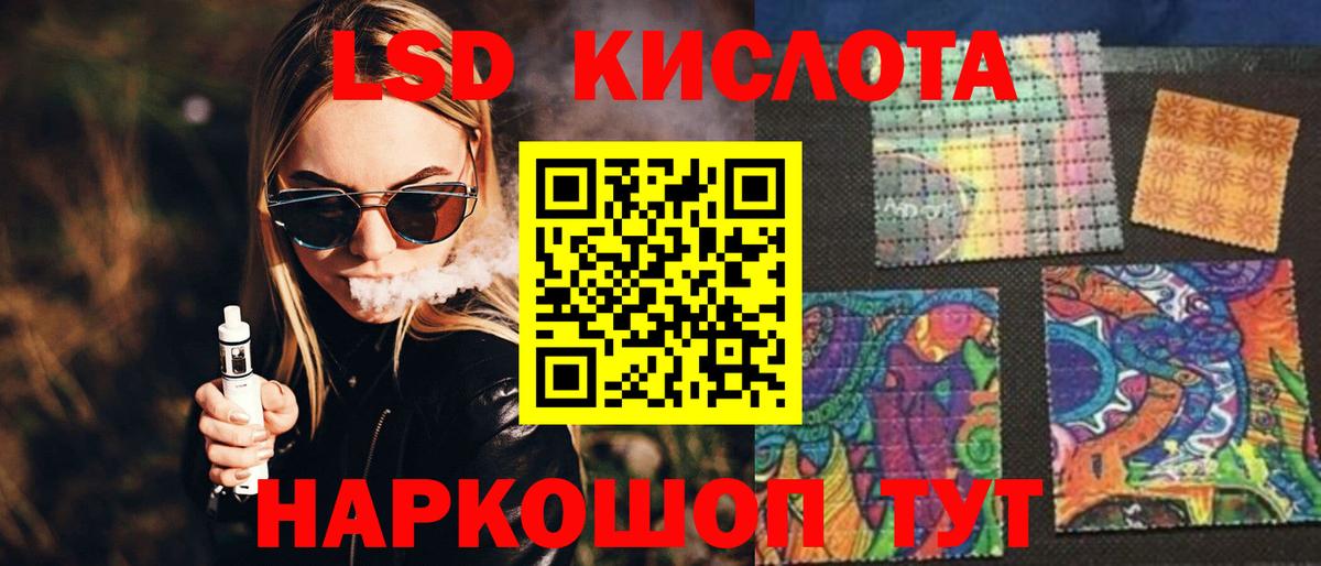 Альфа ПВП Мончегорск