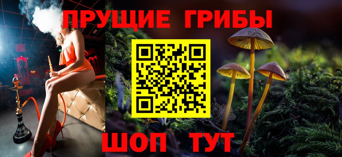 Мончегорск  Псилоцибиновые грибы мухоморы  Вход с VPN 